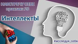 20 практика НАВСТРЕЧУ СЕБЕ. Тема: ИнтеллектЫ. 8 видов +1.