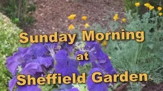Sunday Morning at Sheffield Garden