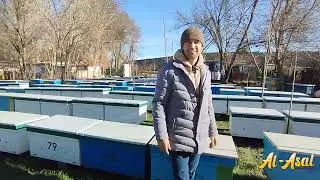 Янги 2024 йил билан