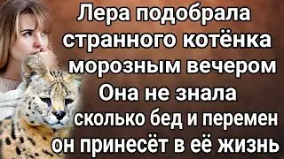 Лера и котёнок