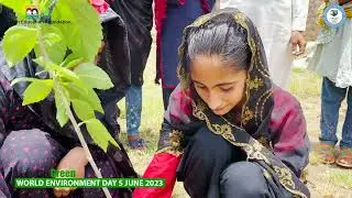 let's Go Green | Planation Activity | World Environment Day 2023