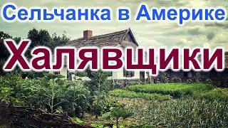 Сельчанка в Америке. Халявщики