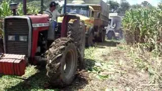 silagem de milho 6 02 2010 027.avi