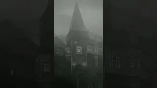 🌧️Nature Sonority🌧️ 
