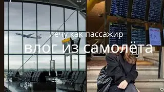 Aeroflot flight, returned to Istanbul, where was my cat for a month?