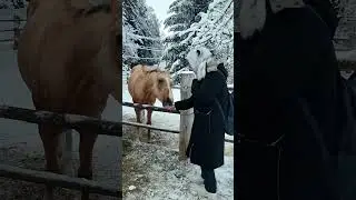 Красивый конь 😍😍 в заповеднике 