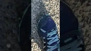 Flash Bug Crush!