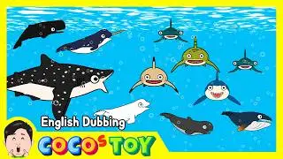 30minㅣEn DubbingㅣA collection of sea animal storiesㅣsharks & whales for kidsㅣCoCosToy