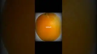 Хочу жрать, хочу жрать ... 