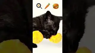 милое видео 😍