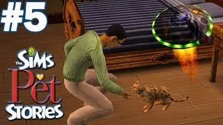 ИСТОРИЯ СТЕФАНА 👨‍🍳 The Sims Pet Stories (Истории о питомцах) #5