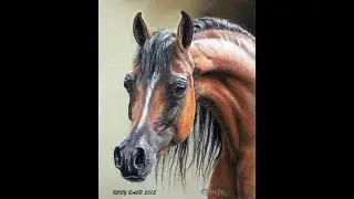 Pastel Painting Demonstration-Arabian Horse by Roberta "Roby" Baer PSA