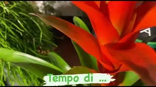 Non è mai troppo presto