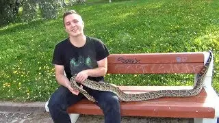 Вы крутите Спиннер? Зачем он Вам?