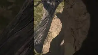 Dying to a tree in Warzone! 