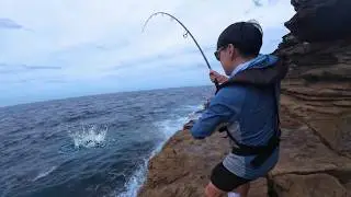 FULL DAY OF ROCKFISHING in SYDNEY (What did I catch?)