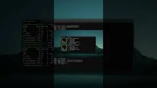 Configuring Media Directory for Server with Jellyfin and Docker