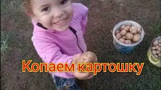 Жизнь в деревне, Как живут в деревне. Делаем с внучкой дела. Гуляем у пруда