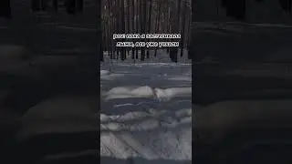 #физра