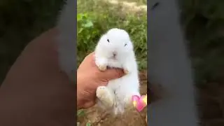 Утренний подъём ❤️