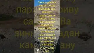 23 апреля 2024 г.