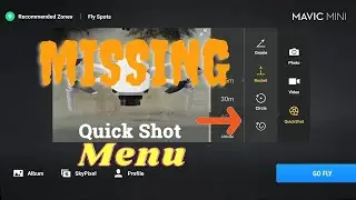 Missing QuickShot Menu solution | DJI Mavic Mini