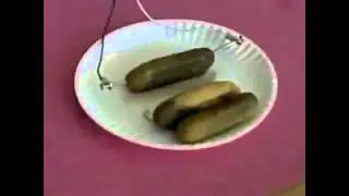 Огурец   Лампочка