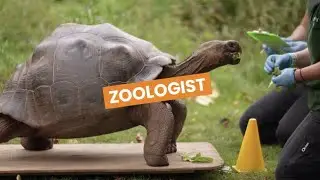 Discover Careers: Zoologist | Sortyourfuture