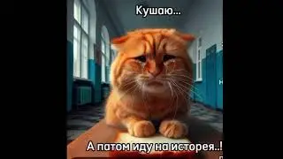 Сегодня же история
