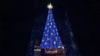 FRANKENMUTH’S SPECTACULAR MUSICAL TREE SHOW #christmastree #musicaltree #frankenmuth #michigan