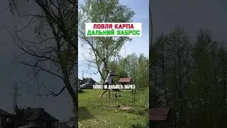 Какое удилище дальше бросает? #карпфишинг