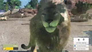 Adorable Roaring Lion Experience | {Zoo Tycoon: Ultimate Animal Collection}