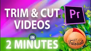 How To Slice Video In Premiere Pro