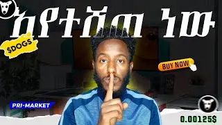 $DOGS ቢትጌት ፕሪማርኬት ላይ እየተሸጠ ነው | How to Buy $DOGS on Bitgate : Premarket Launch & Airdrop Guide! 🚀