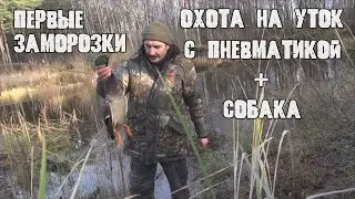 Duck hunting with pneumatics on the first frosts with a dog. Late fall.