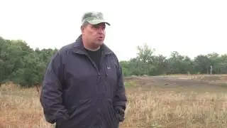 грибы 1