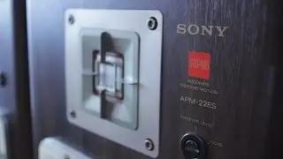 Sony APM-22ES