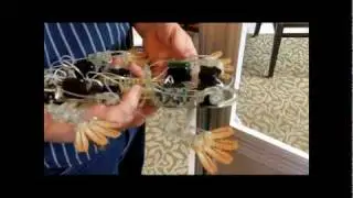 Stanford Stickybot III