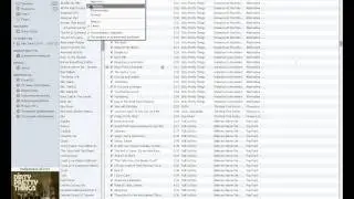 Классический вид iTunes / iTunes Classic view