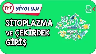 Sitoplazma ve Çekirdek-Giriş | Kamp2021    