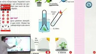8. Sınıflar Fen Bilgisi Dersi - Fotosentez