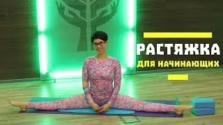 Stretching for Beginners #1 by Natalia Papushaya