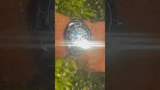 Jungle Rain Shower Seiko King Samurai STO Manta Ray ceramic bezel and Sapphire srpe33