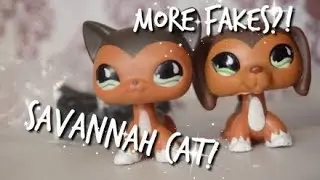 Unboxing LPS Savannah Cat?! + More!