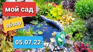 Обзор сада 05.07.22/Розарий, рокарий, хосты, гейхеры, дельфиниум, петунии в дизайне сада/Новый пруд