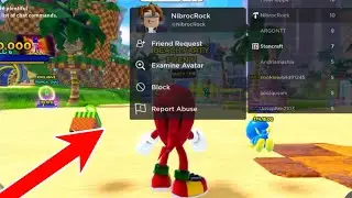 MEETING CREATOR OF SONIC SPEED SIMULATOR!! (NibrocRock)