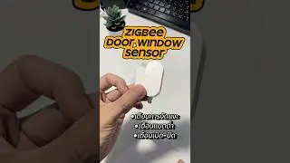 Tuya Zigbee door window sensor (ZD08)