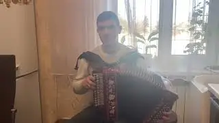 «А девчонка та проказница» на гармони 🪗