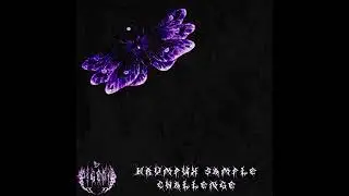 KRVMPUX Sample Challenge // iCouldScreamMyLungsOutNobodyWouldCare