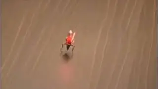 A cockroach singing I'm unstoppable Recommended: BY EZEKIEL INNOCENT
